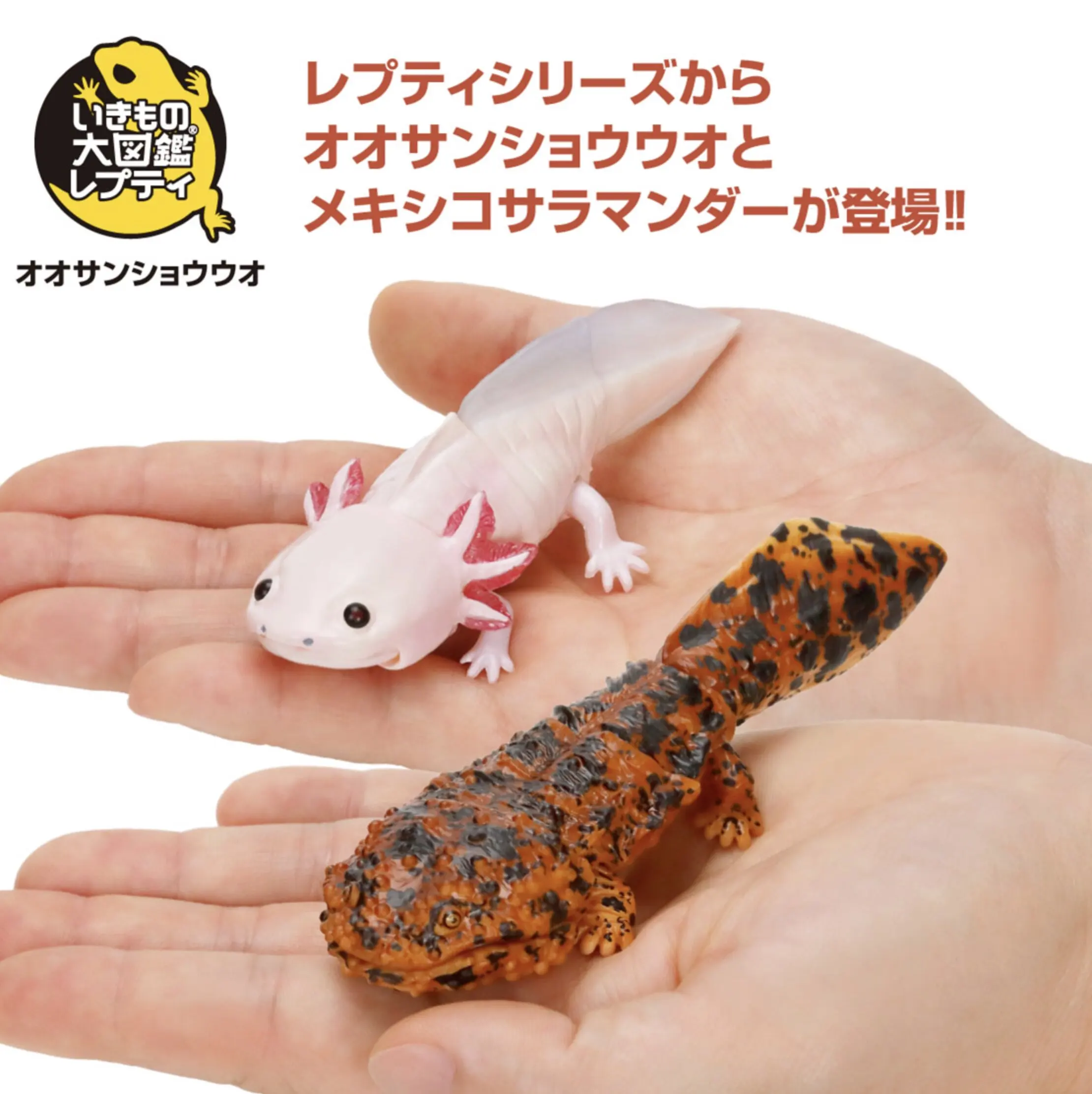 

Genuine Gacha Scale Model Biological Simulation Model Mountainpepperfish Amphibian Giant Salamander Action Figure Toys