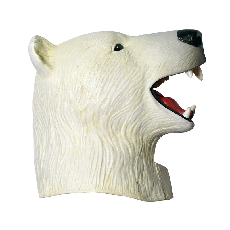 Imagem -02 - Estatuetas Realistas Modelo Animal Urso Polar 4d Visão Anatomia Coleção Home Decor Presente