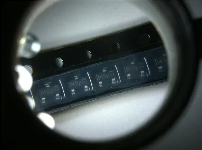 Free Shipping BSN20…