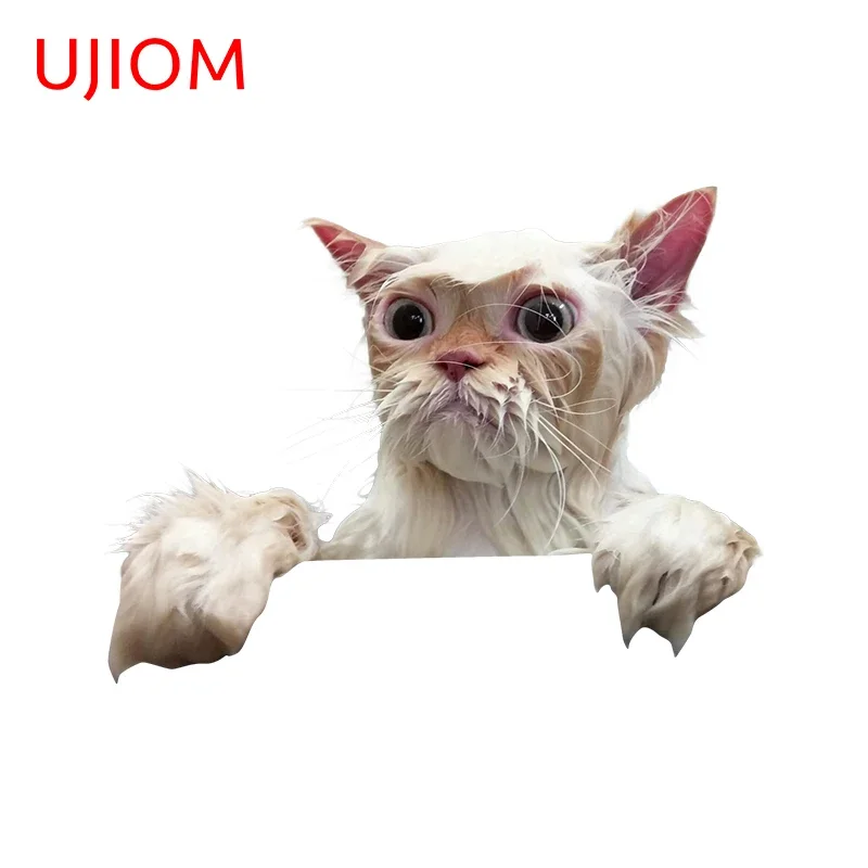 UJIOM Bathroom Cat Funny Wall Stickers Window Glass Decals Bedroom Waterproof Home Scratch-resistant Living Room Decoration