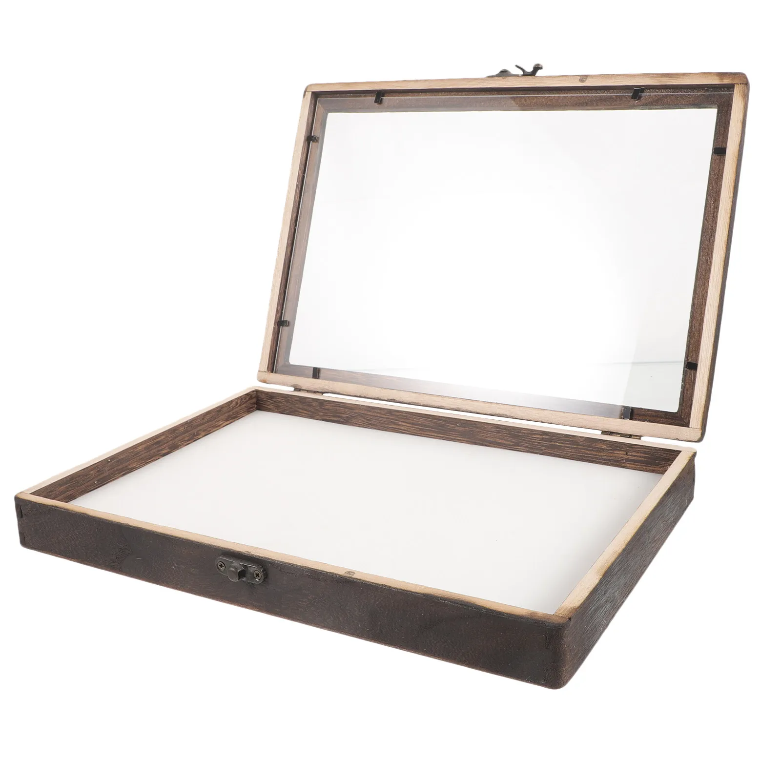 1Set Insect Display Case Wooden Color Frame Acrylic Specimen Box Compact Hanging Display for Bugs Jewelry Storage
