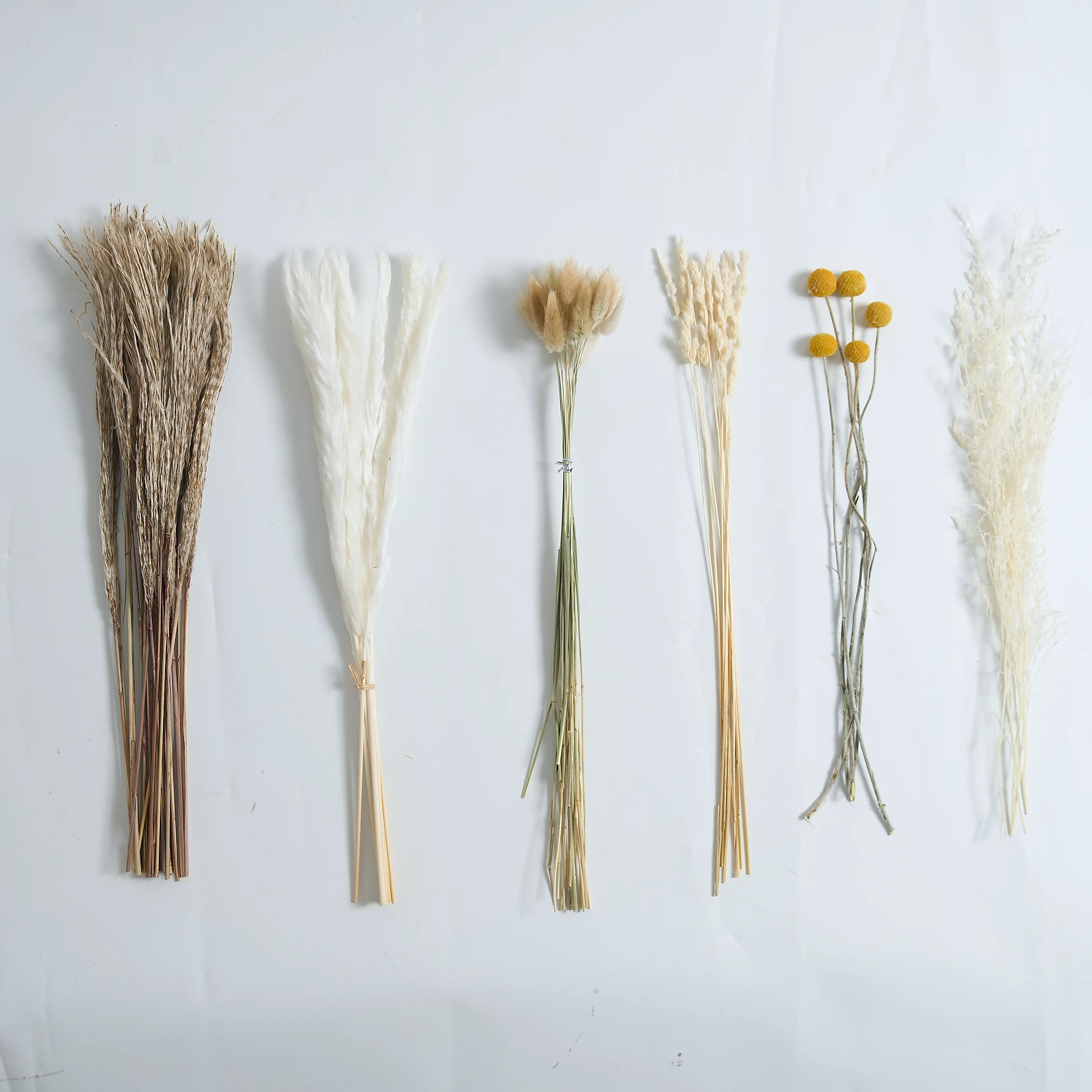 

74PCS Fluffy Pampa Grass Set Bouquet Natural Dried Flower Bunny Tail Grass Home Christmas Party Vase Decor Boho Wedding Layout