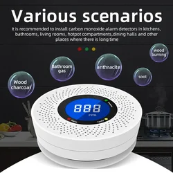 Security Protection Carbon Monoxide Detector CO Monitor Poisoning Alarm LCD Digital Display Home Indoor Real-Time Control