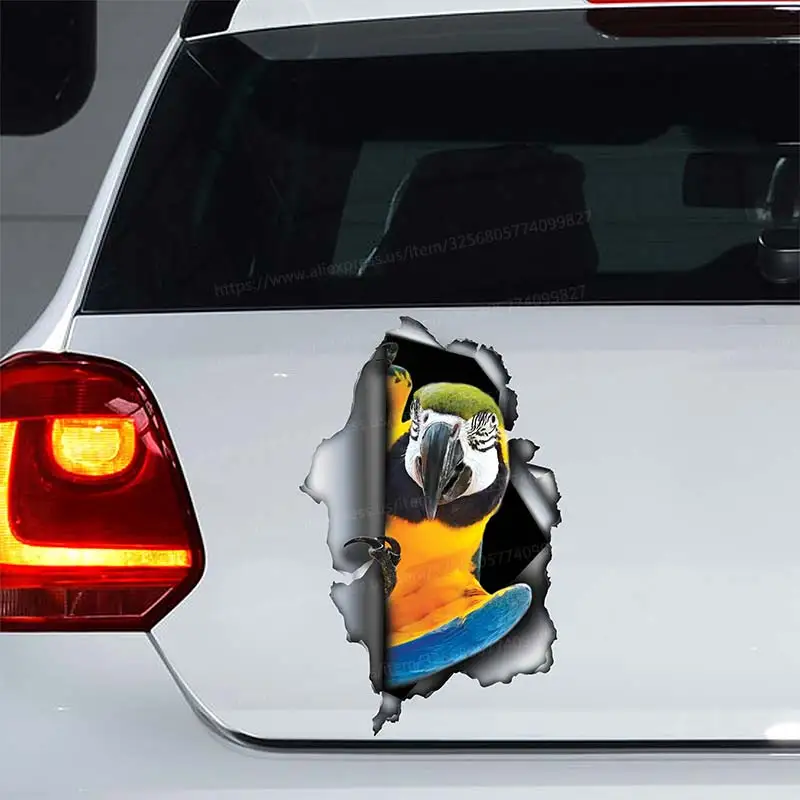 

Yellow And Blue Macaw Car Sticker Car Window Decorative Sticker Waterproof Vinyl Decal Animal For Car Accessories SH14