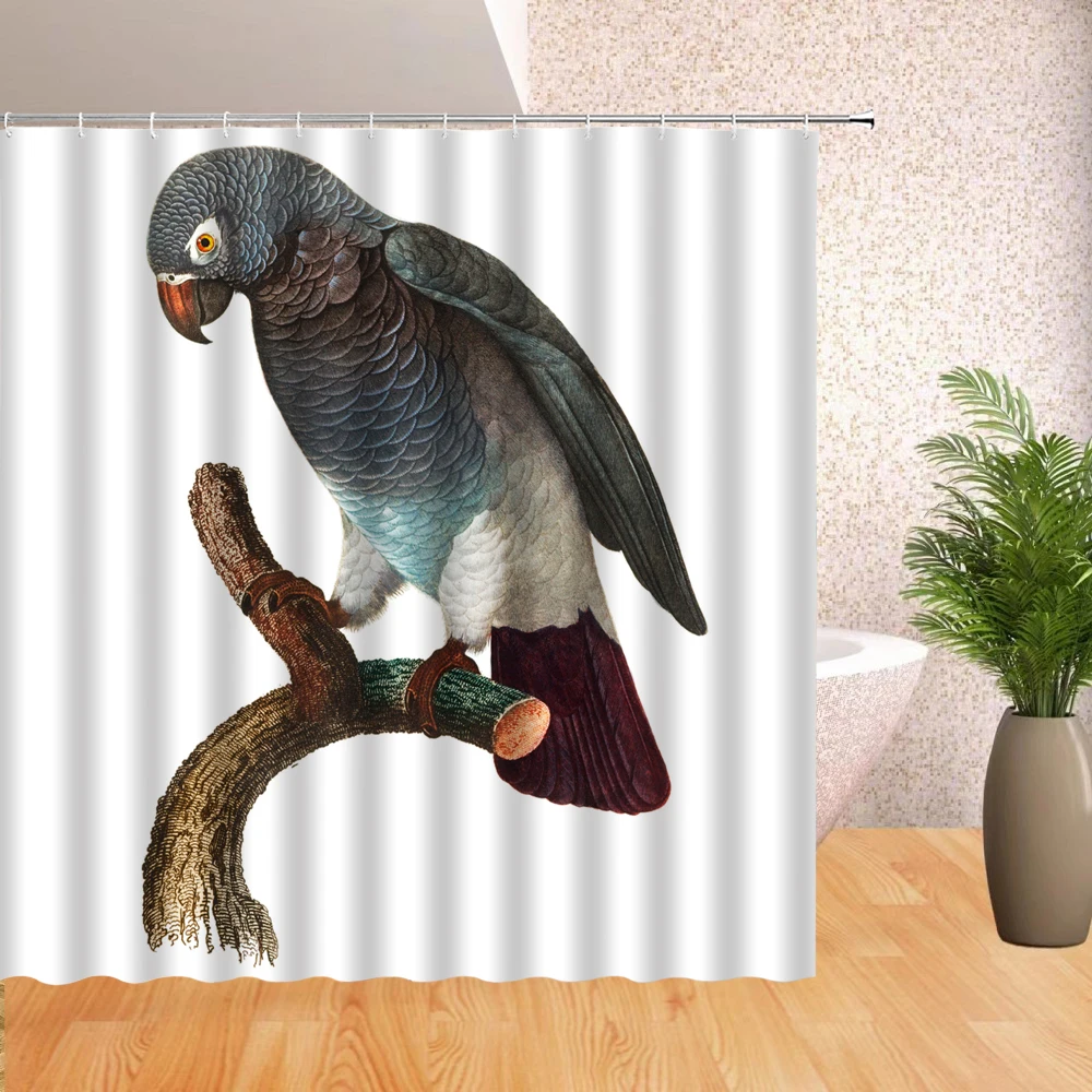 

Bird Collection Shower Curtain Funny bird cartoon illustration Shower Curtain Bathroom decoration uCrtain