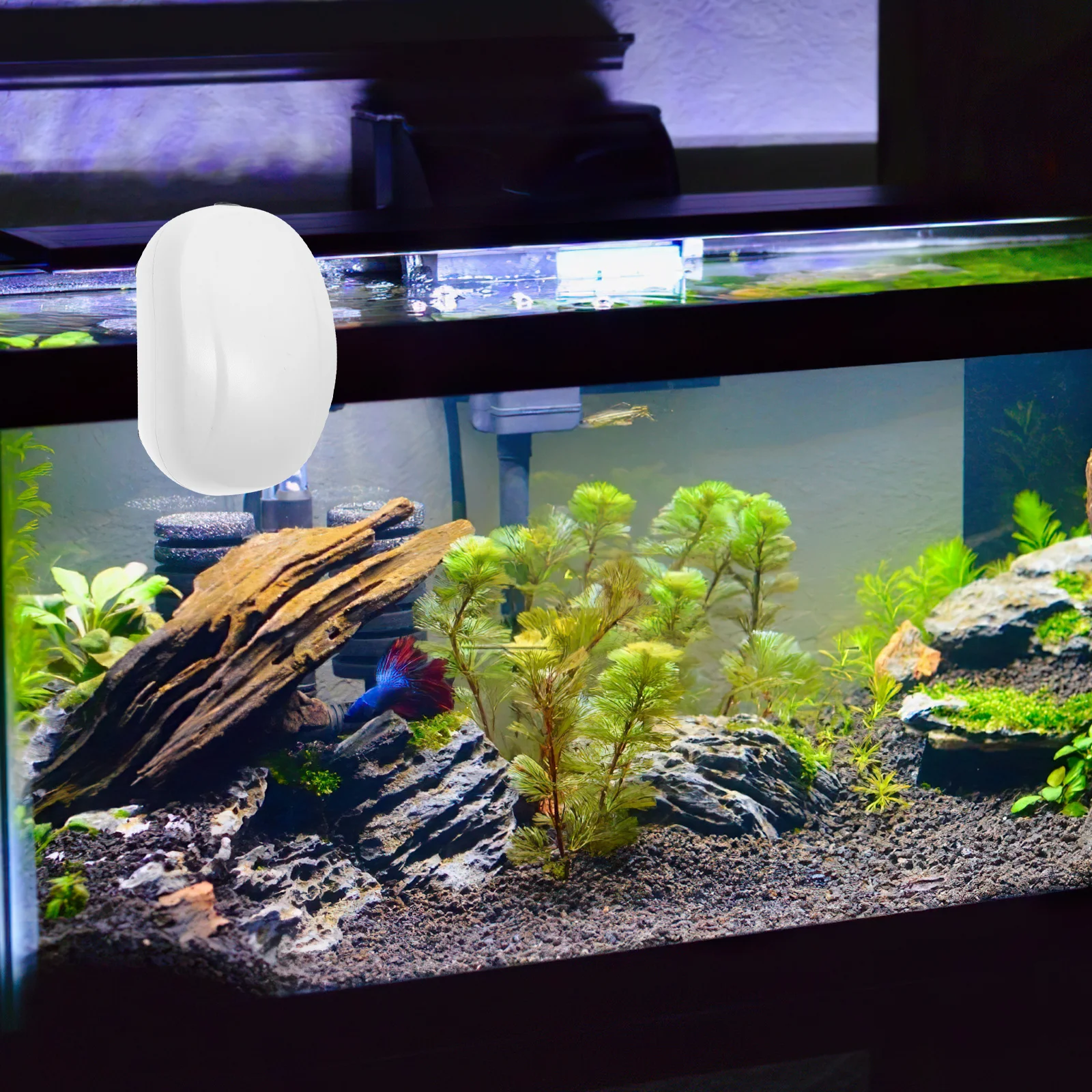 

Mini Mute USB Aquarium Air Pump Portable Plastic Oxygen Aerator Pump Fish Tank Oxygen Supply Tool for Aquarium Accessory