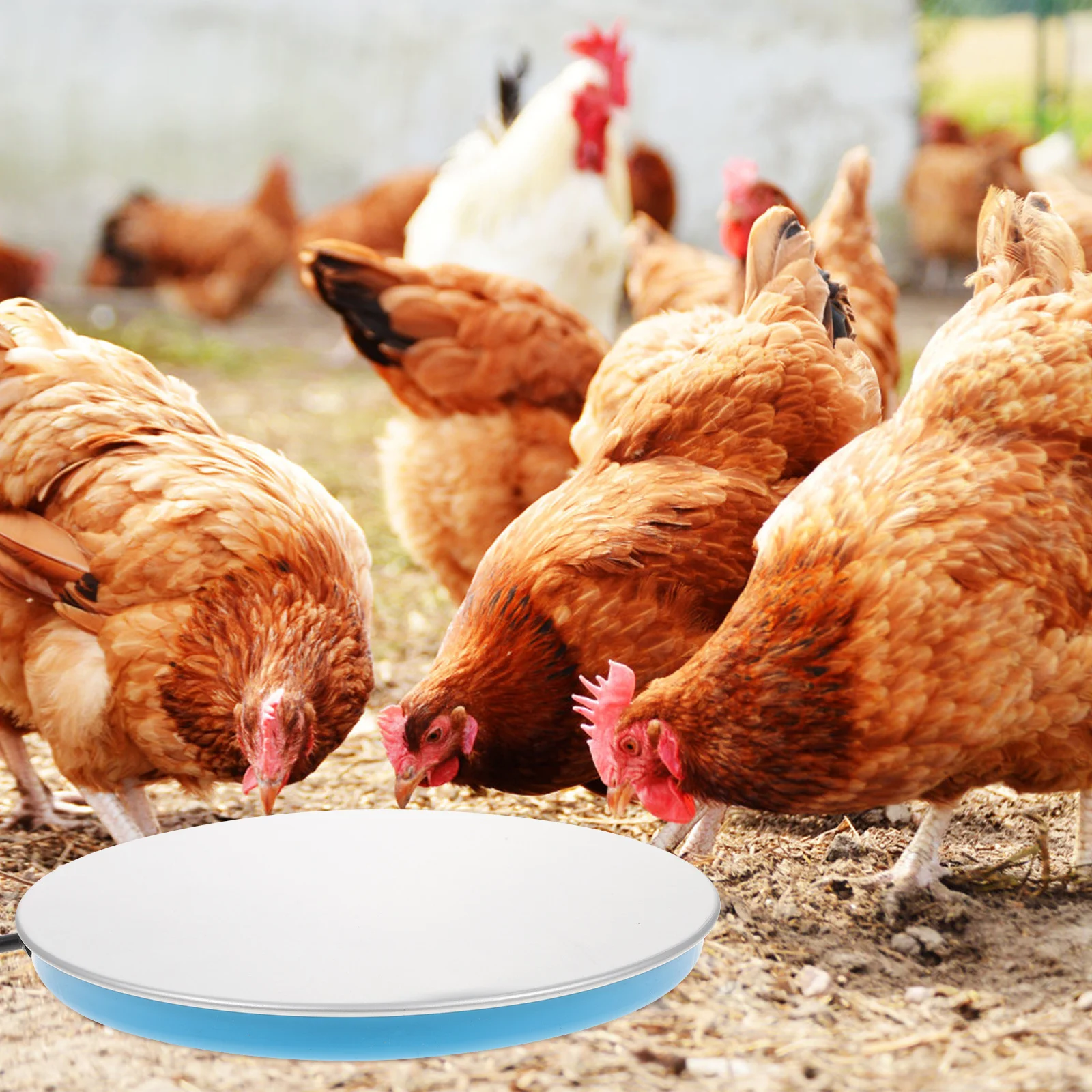 

Chicken Water Heating Plate Electronic Poultry Water Heater Constant Temperature Heating Base For Pet Bird Winter Supply Pigeon