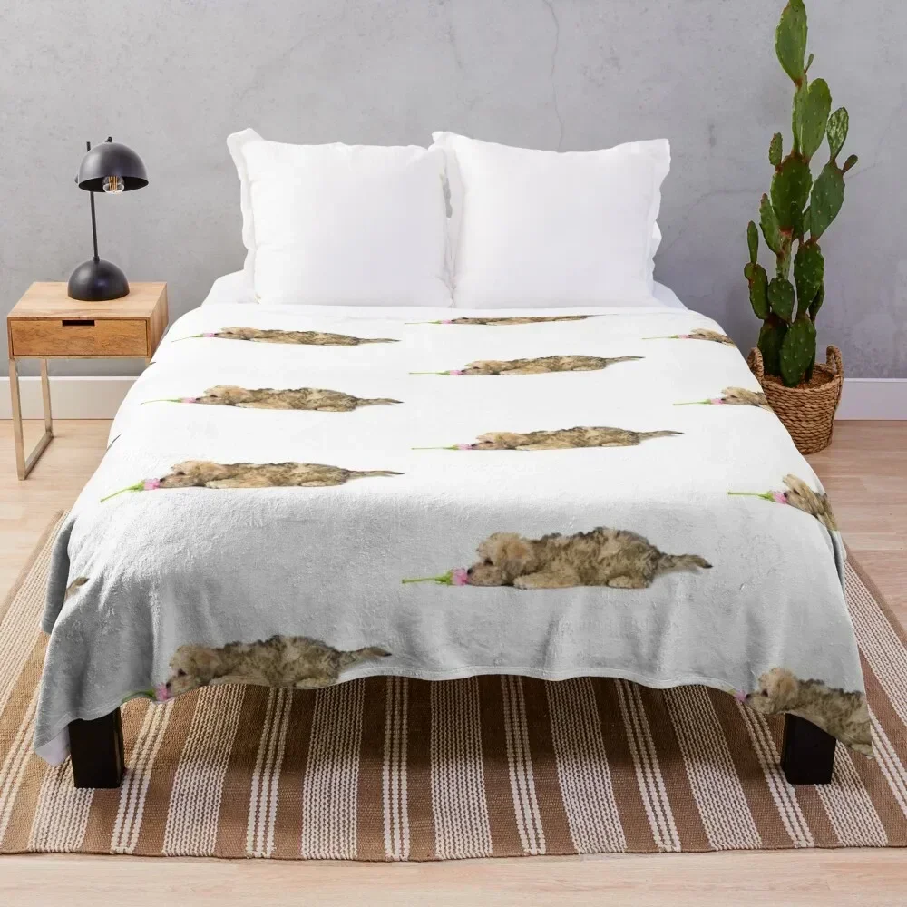

Mustard Dandie Dinmont Terrier Puppy Throw Blanket Heavy Comforter Designers Large Blankets
