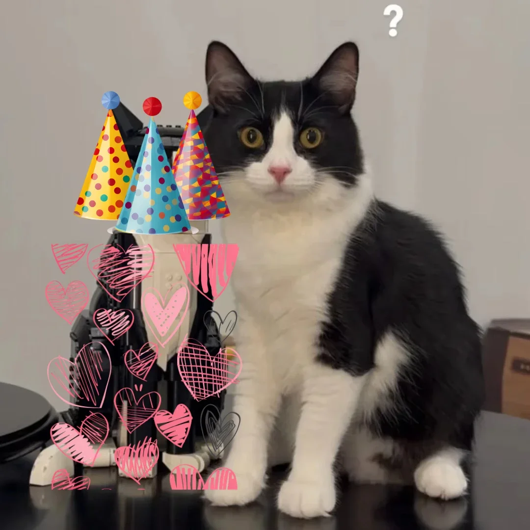 Ideen Bausteine-Set, Heimdekoration, Katzen-Geschenk für Tierliebhaber, Katzengeschenke,