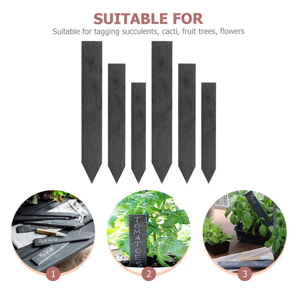 

6Pcs Plant Labels Sturdy Garden Tags for Plants Reusable Blackboard Markers with Pointed Tip for Easy Insertion Into Soil