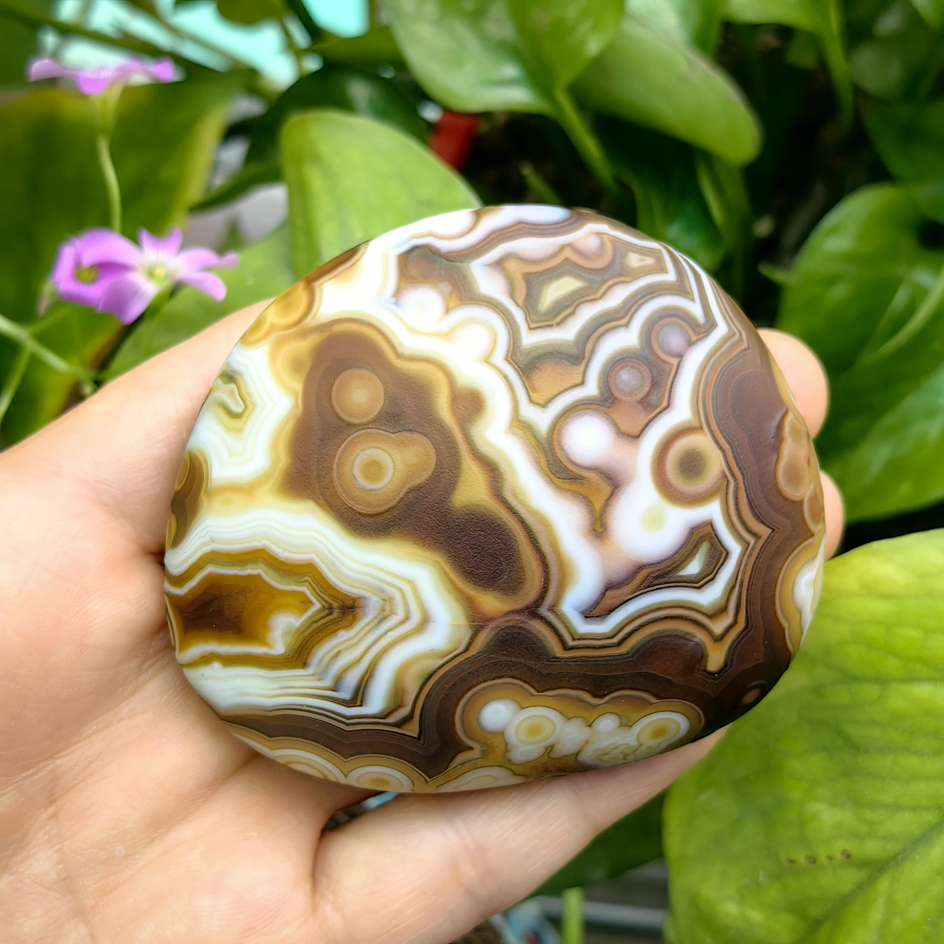 Natural Sardonyx Agate Gobi Eye Mineral Specimen Crystal Chakra Reiki Stone for Stress Relief Against Negativity Home Decor Gift