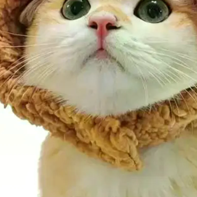 Pet Photo Prop Plush Hat Cute Animal Shaped Headwear Adjustable Size for Cat Dog Cosplay Party Dress Up