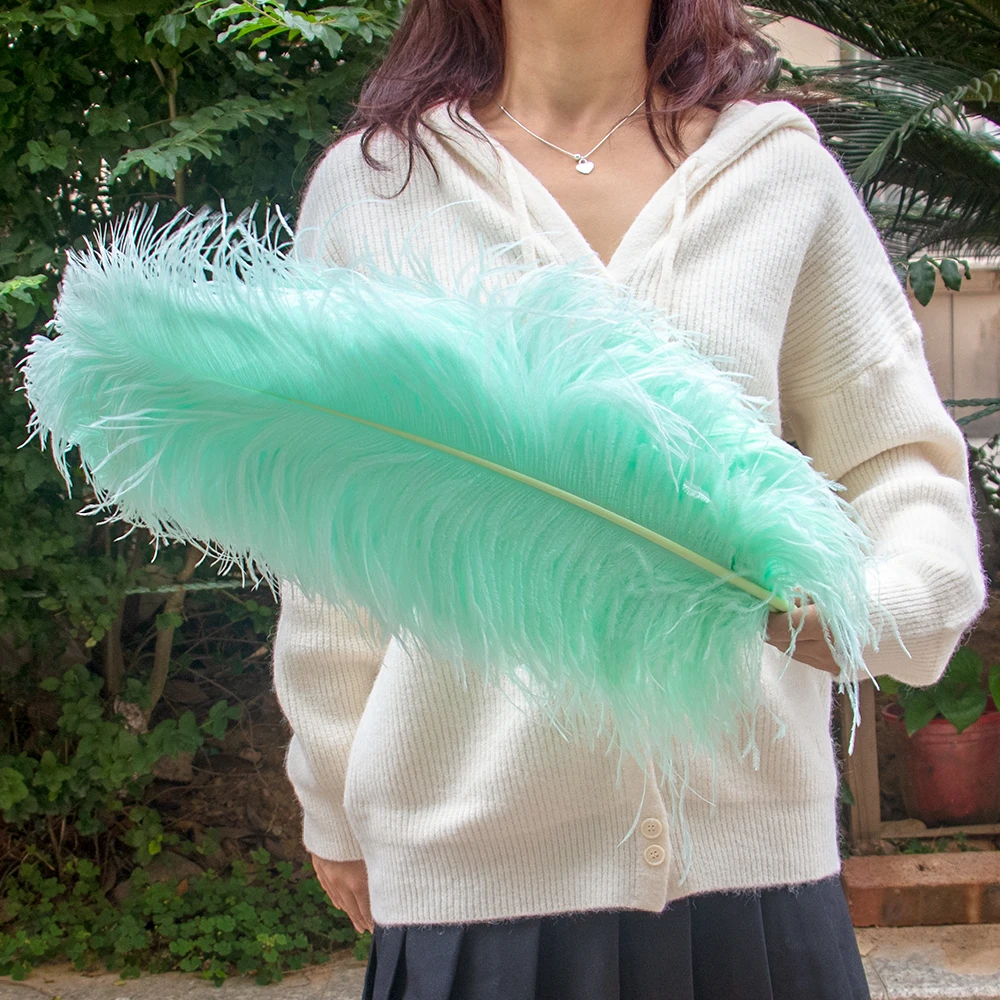 

New Mint Ostrich Feathers Bulk 15-60CM for Crafts Wedding Party Home Decoration Table Centerpiece Carnival Ostrich Plume