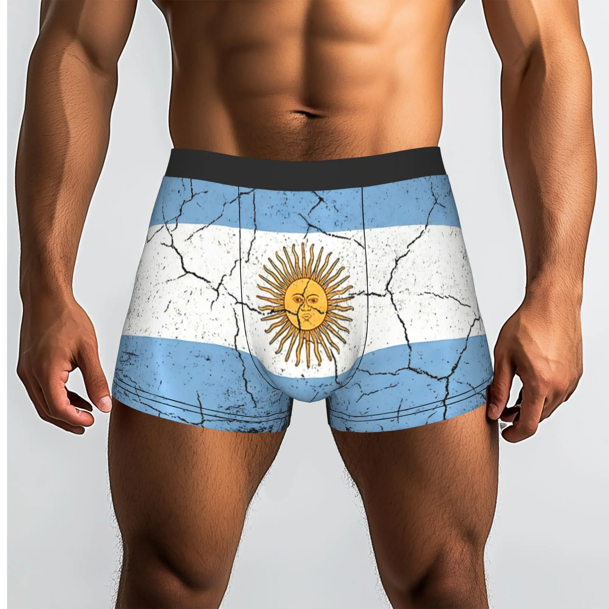 Distressed Vintage Argentina National Flag  Argentina Underpants Homme Panties Male Underwear Comfortable Shorts Boxer Briefs
