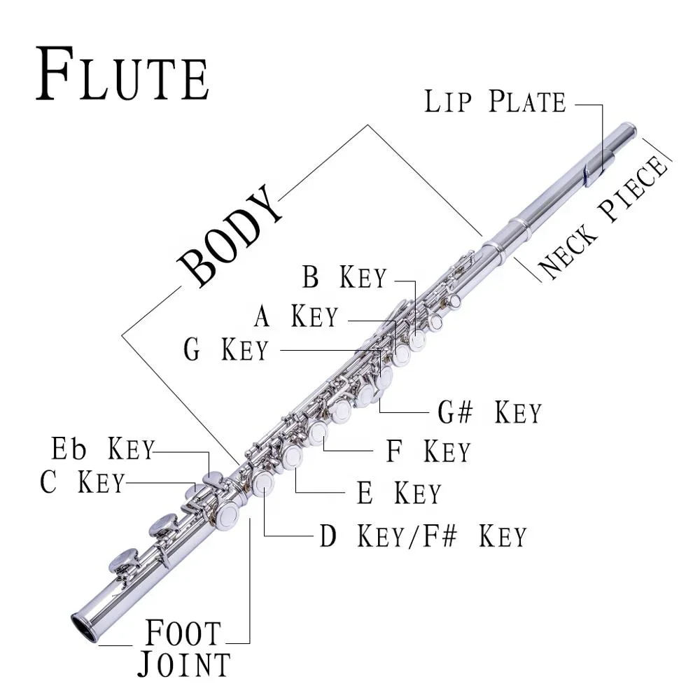 16 Holes Closed Hole Flute C Key Flutes Woodwind Instrument Cupronickel Silver Plated Concert