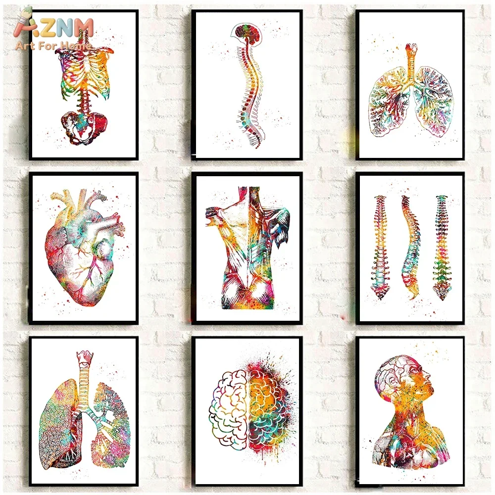 AZNM Human Anatomy Canvas Wall Art Colorful Watercolor Organ Skeleton Medical Art Poster Print Clinic Office Decor Unframed Canv