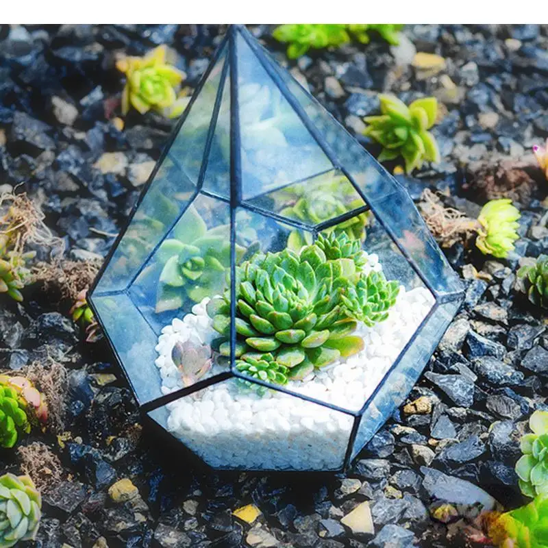 Transparent Glass Vase Succulent Pot Plant Micro Landscape Flowerpots Garden Pots Immortal Flower Box Desktop Display Stand