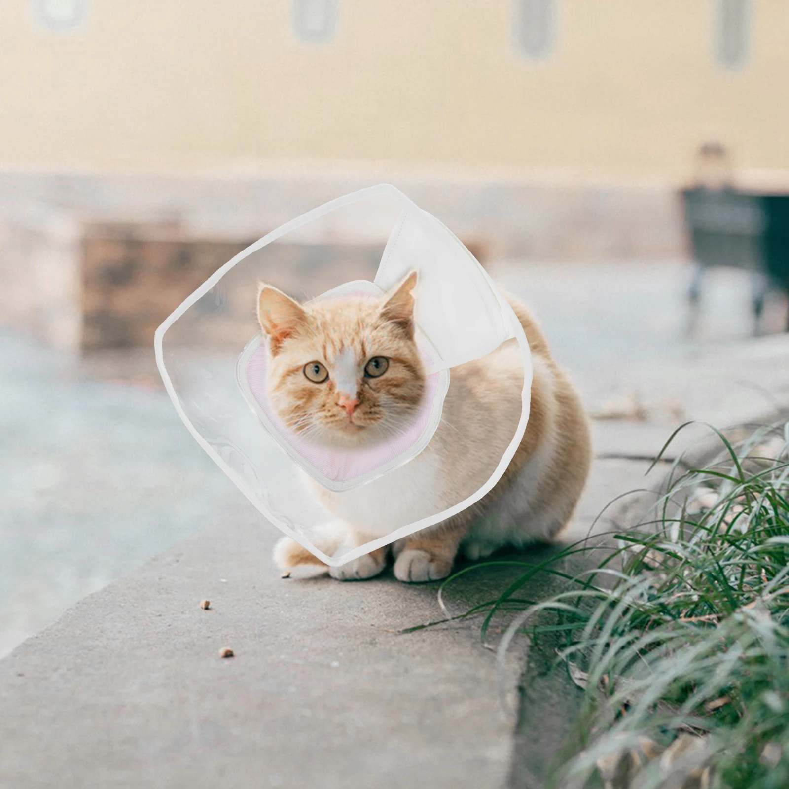 

Soft Adjustable Cat Recovery Collar Conical Neck Cone Post Surgery Wound Anti Licking Bite PVC Pet Accessories Kitten