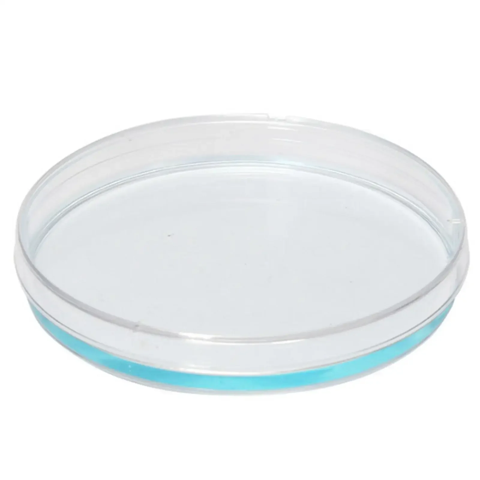 10pcs 35/60/70/90/100/120/150mm Polystyrene Petri Dish Sealed Culture Disposable
