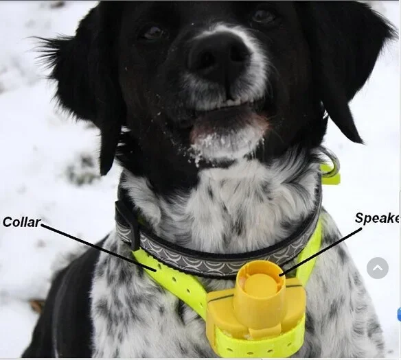 Yellow color hunting Dog Collar beeper waterproof for small, medium, large dogs