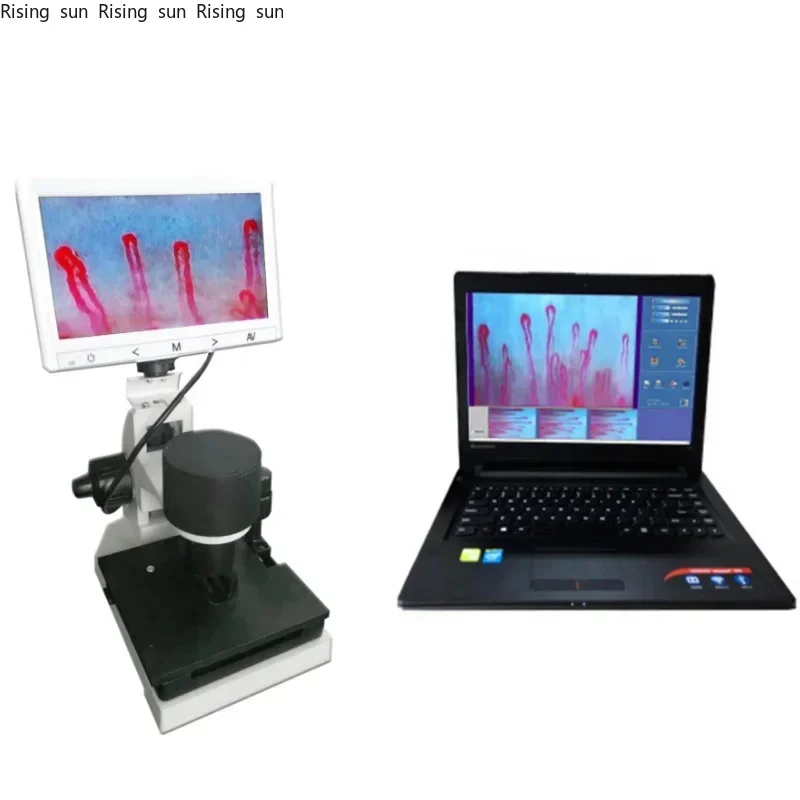 

Reliable Capillary for Microcirculation Studies