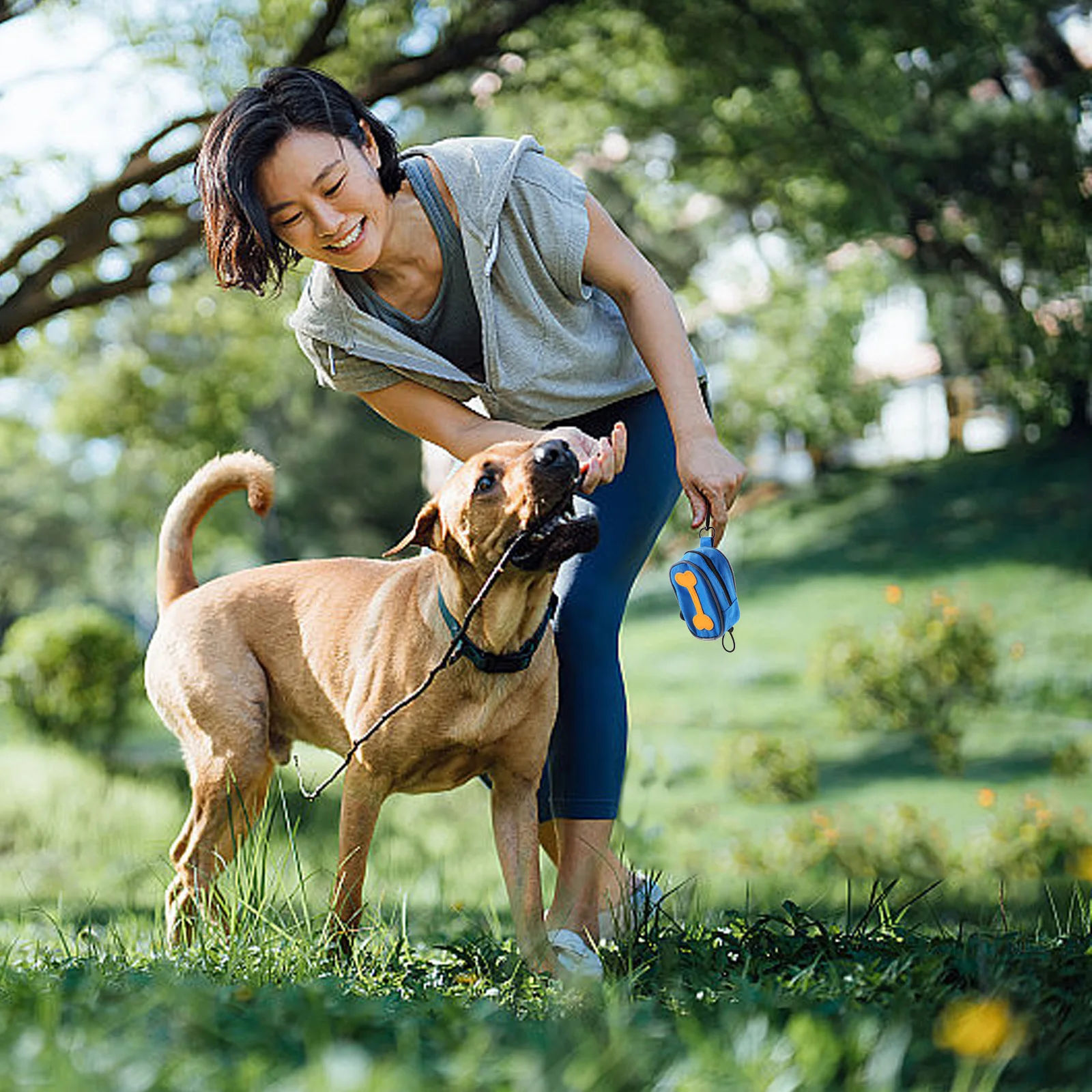 

Dog Trash Bag Set Oxford Cloth Portable Zipper Dispenser Poo Bag Holder Leash Storage with Disposable Poo Bags Dog Walking