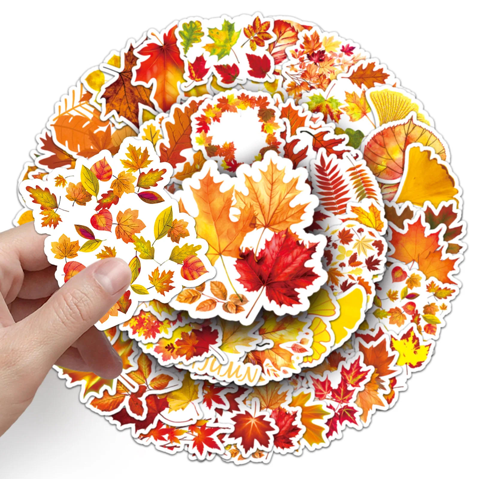 Autumn Leaves Series Graffiti Stickers, Adequado para Laptop, Capacetes, Decoração Desktop, Brinquedos DIY, Atacado, 50pcs