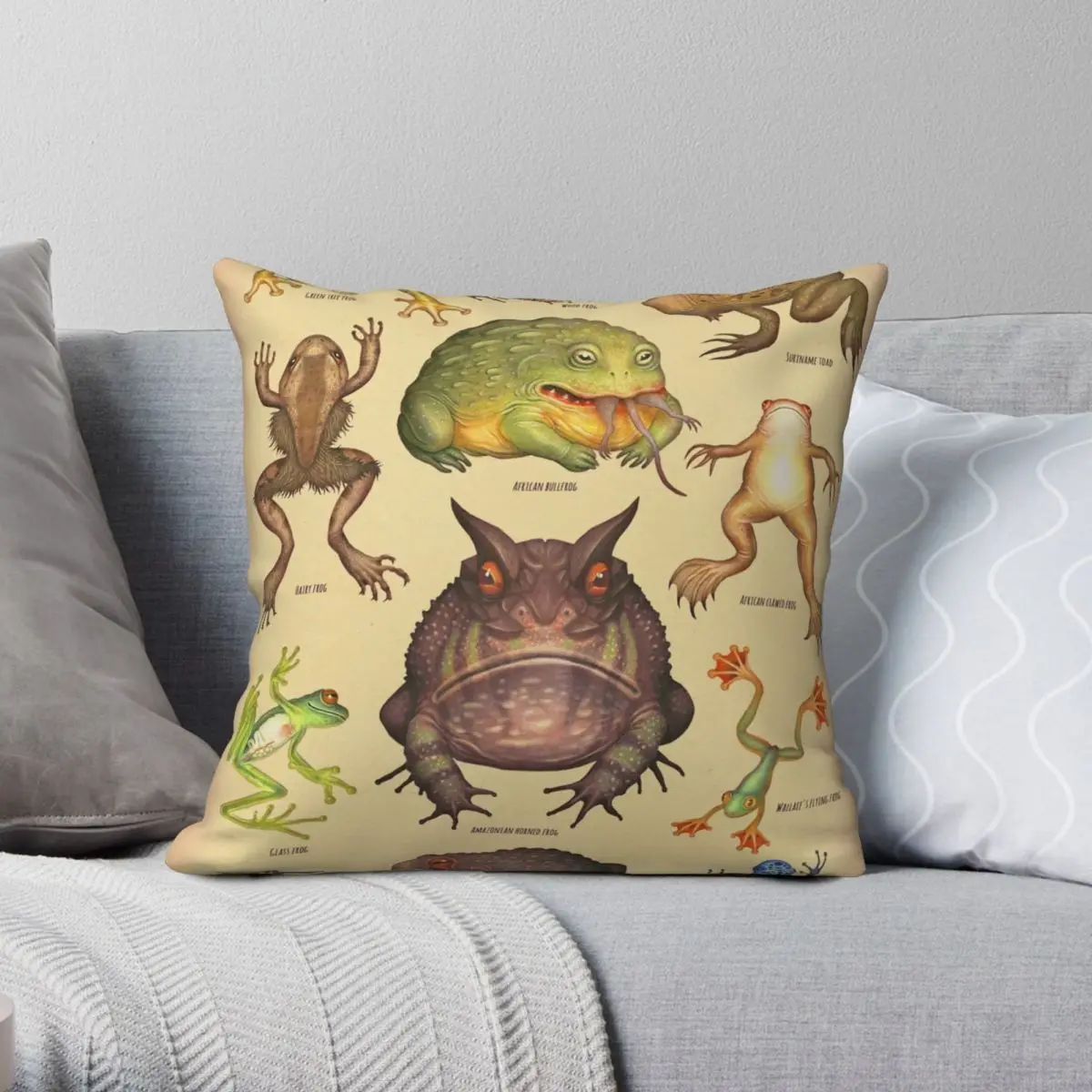 

Peculiar Frog Species Square Pillowcase Polyester Linen Velvet Pattern Zip Decorative Sofa Seater Cushion Cover