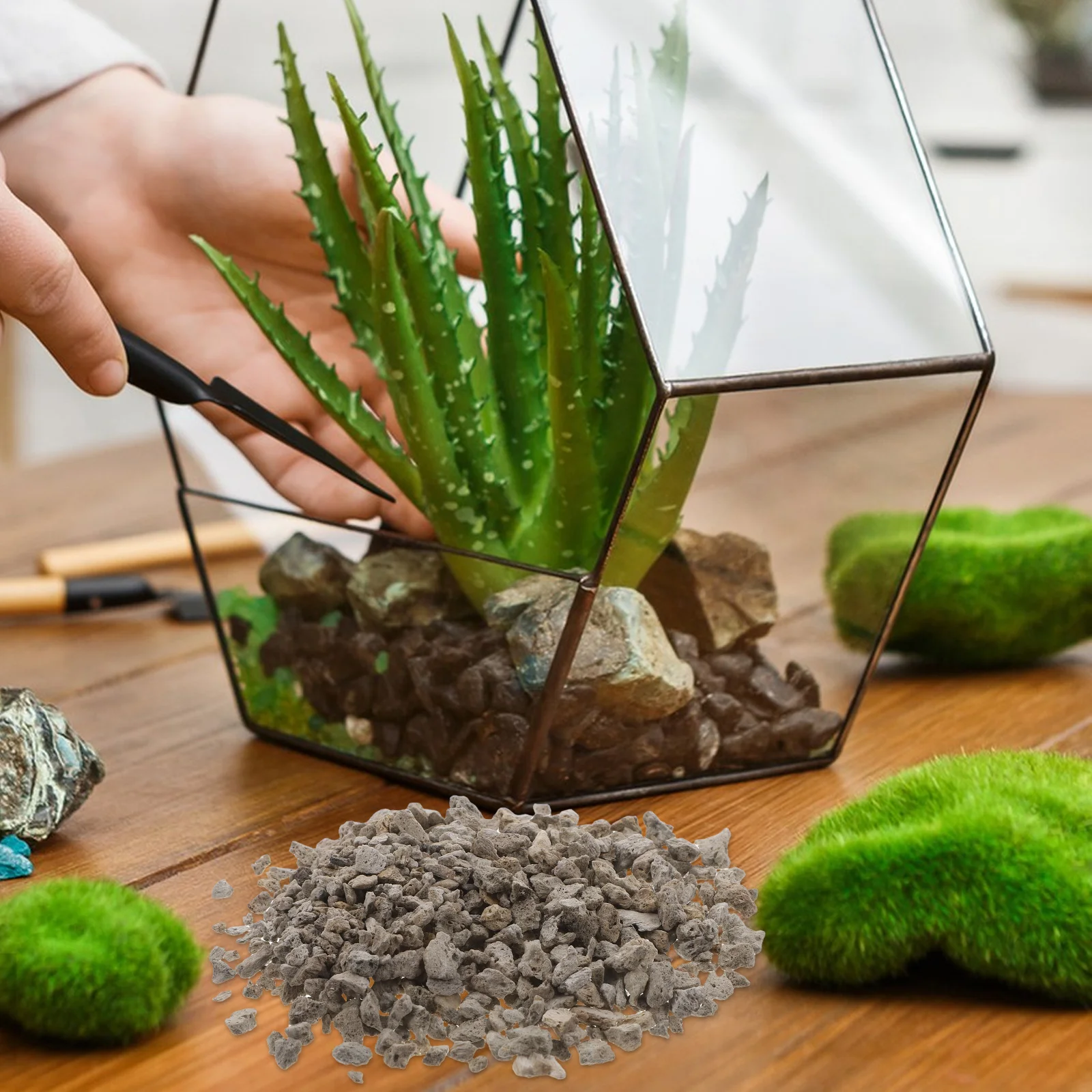 Aquarium Tank Micro Landschap Steen Succulente Plantenbakken Miniatuur Spoorwegmodellen Vis Decors