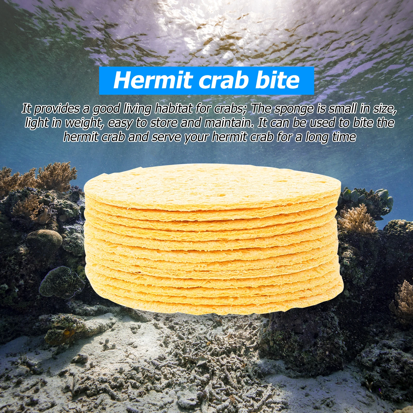 

12pcs Hermit Crab Sponge Humidity Keeping Crab Habitat Water Absorbent Cleaning Supplies Portable Safer Drinking Sea Sponge