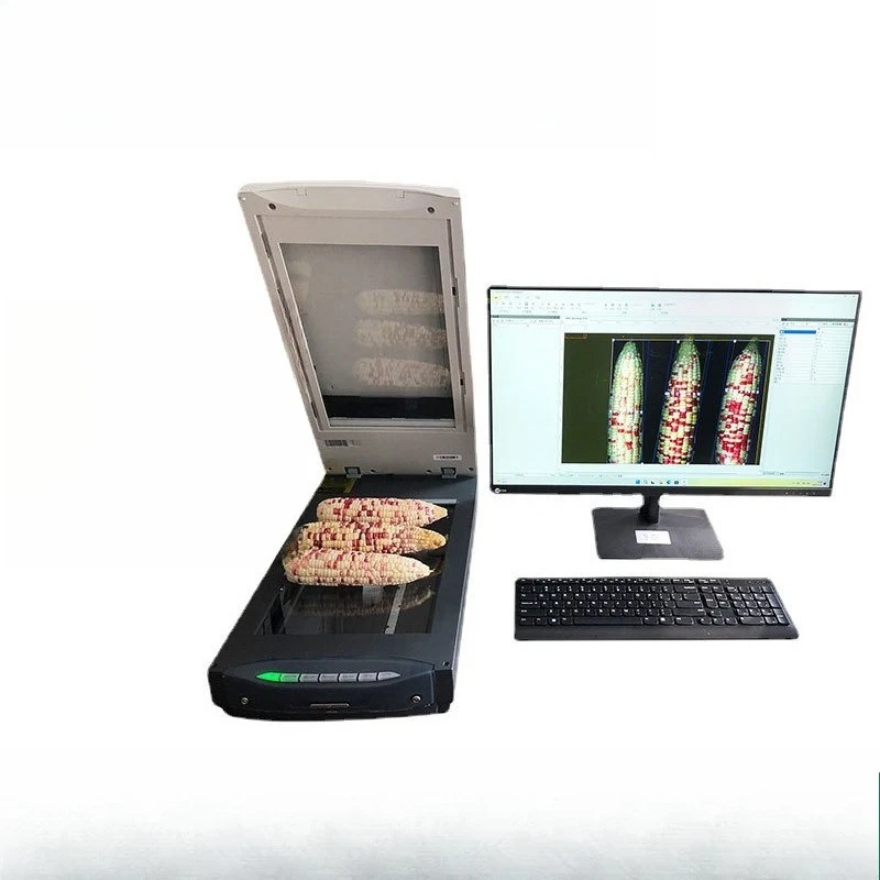 Intelligent Seed Testing Analysis System KZ-G Maize Ear Intelligent Seed Testing Analysis System