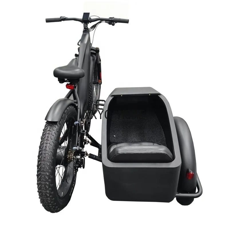 Triciclo eléctrico lateral para adulto, bicicleta de 3 ruedas, triciclo de carga eléctrica de 750w, batería de litio oculta, Sidecar