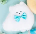 white pomeranian