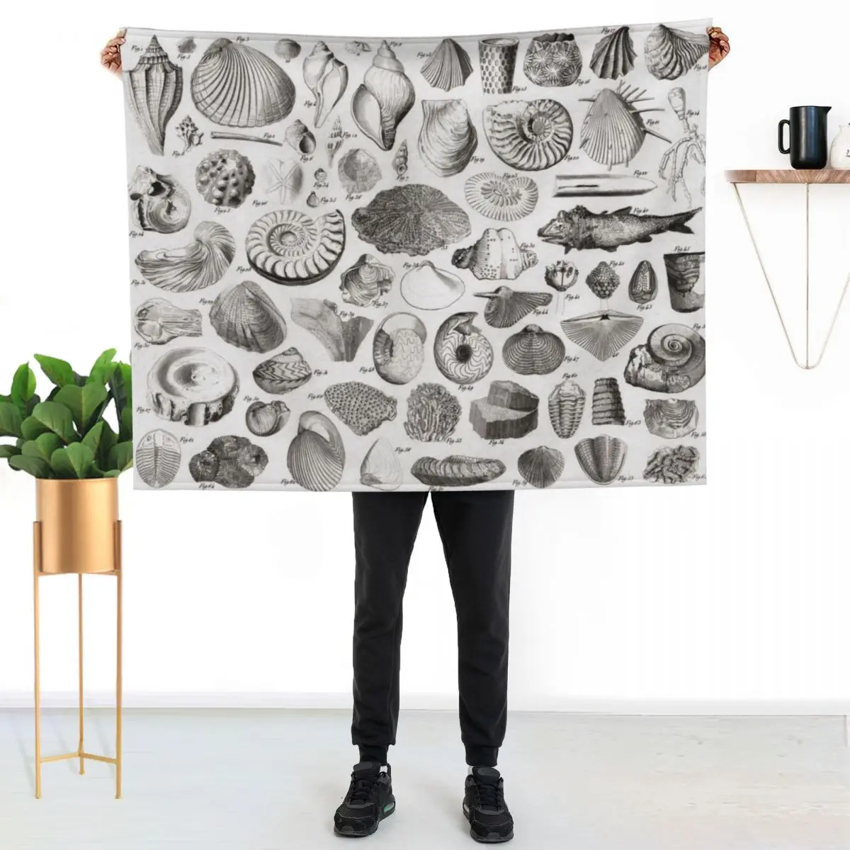1857 Diagram Paleontology: Fossils Throw Blanket warm winter Luxury Throw Plaid on the sofa Flannel Plush Cute Plaid Blankets