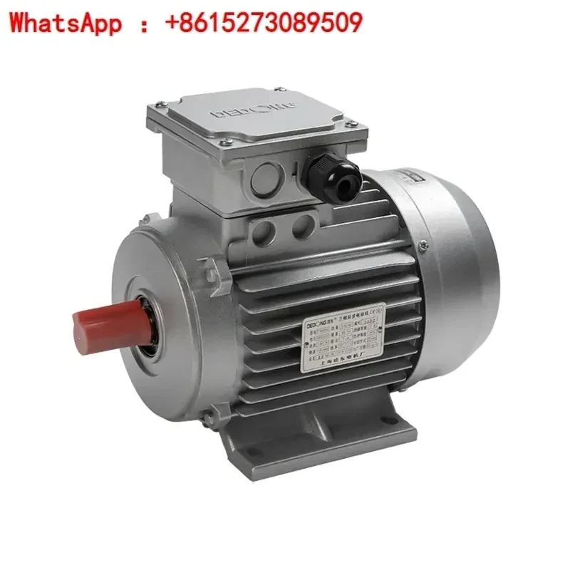 Shanghai Dedong Motor National Standard Copper Core Three-Phase Asynchronous Motor Ys8014/Ys8024/Ys8034