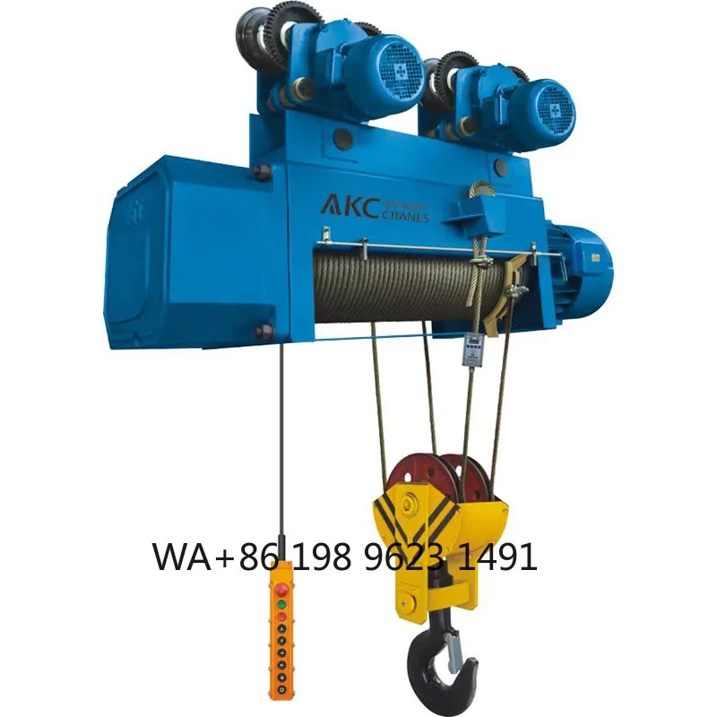 General Purpose Electric Wire Rope Hoist High Stability Industrial Lifting Winch Standard Crane Equipment for Factory Material