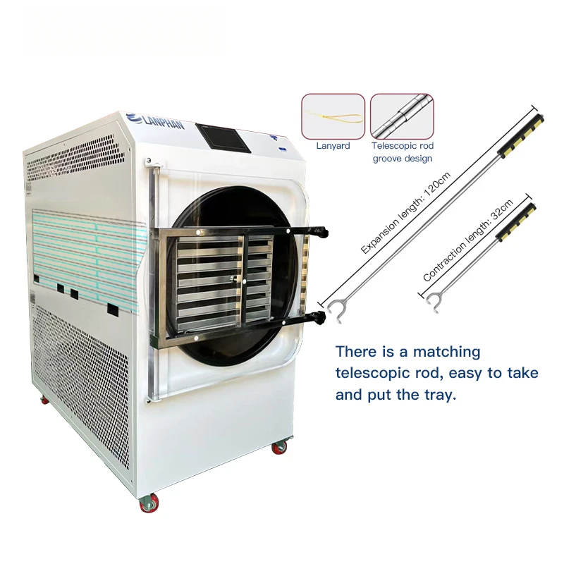 Freeze Dryer Efficient Lyophilizer For Fruits And Vegetables