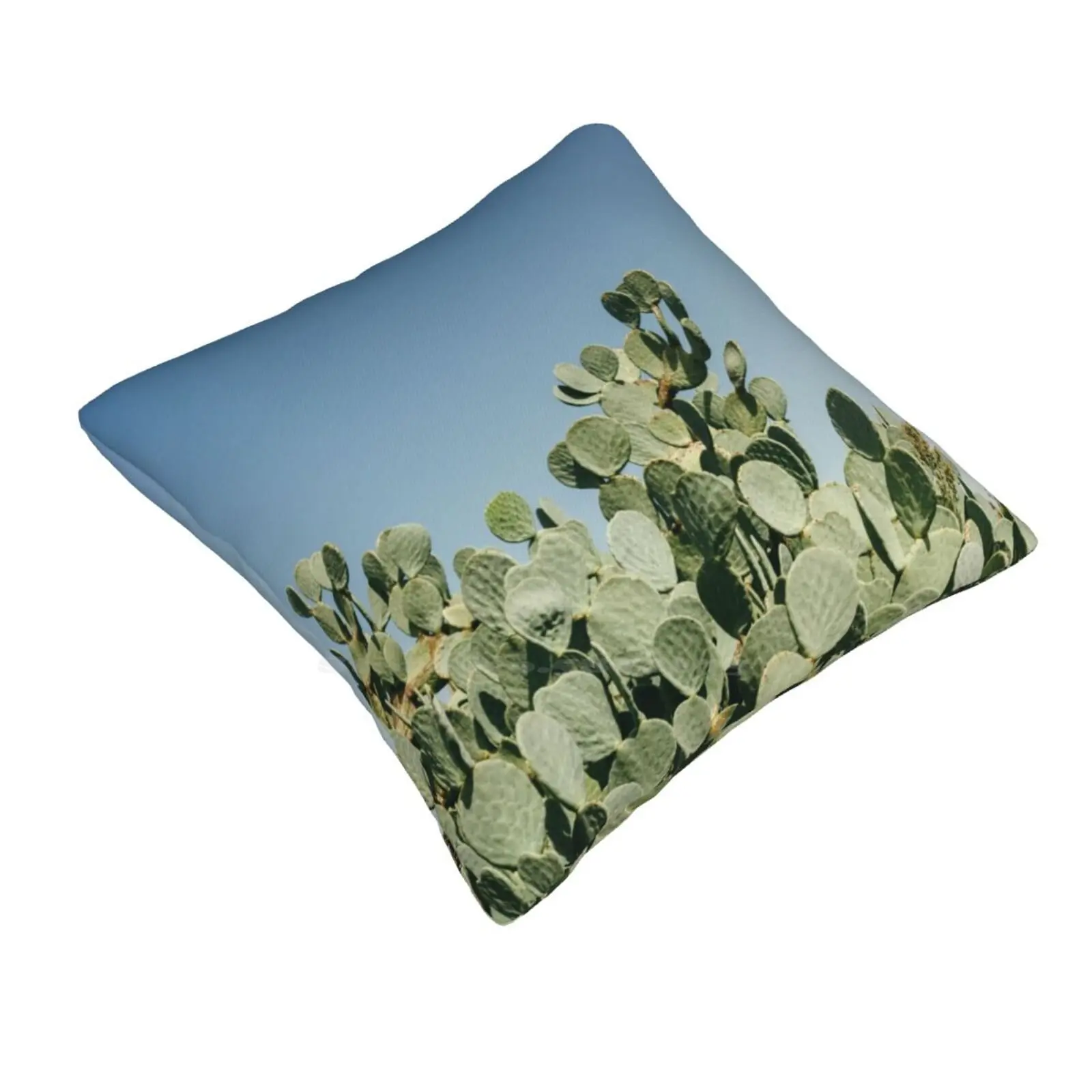 Large Prickly Pear Cactus Against Blue Sky Fashion Sofa Throw Pillow Cover Pillowcase Cactus Cacti Plant Succulent Spiky