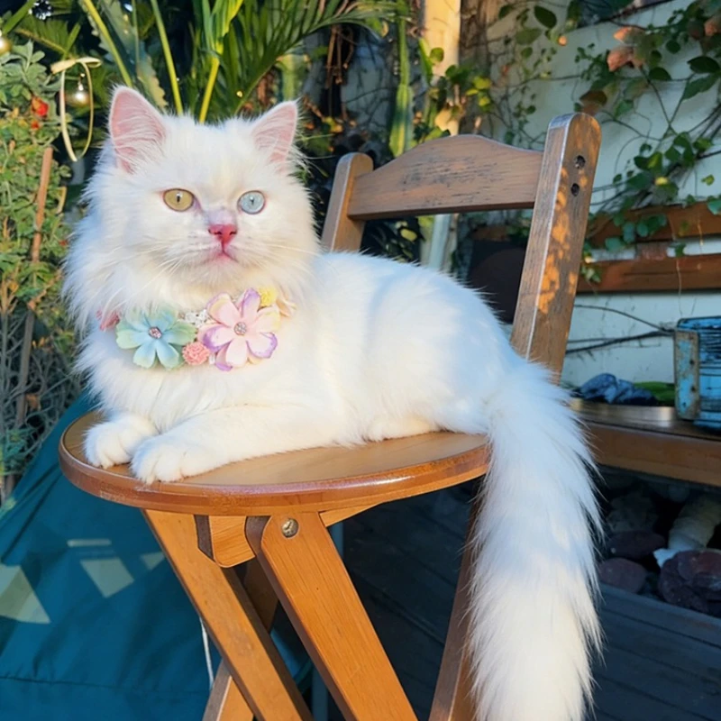 ゴージャスなカラフルな花のペットの首輪猫ネックレス調節可能な - Photography Basic のレビューと価格