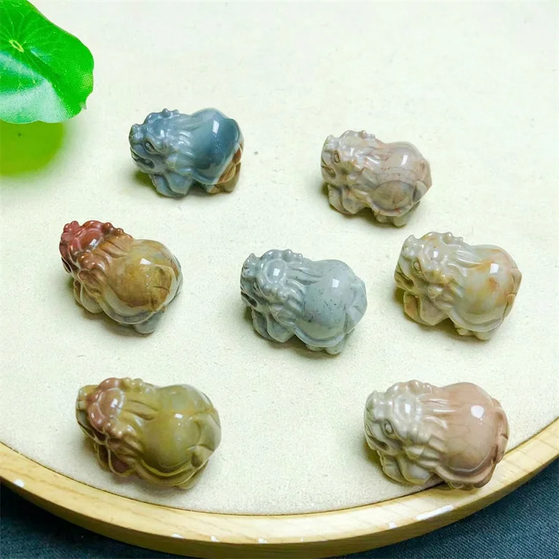 5PCS Natural Alashan Agate Dragon Turtle Carving Animal Craft Figurines Stone Carving Healing Reiki Home Decor Gift 24MM