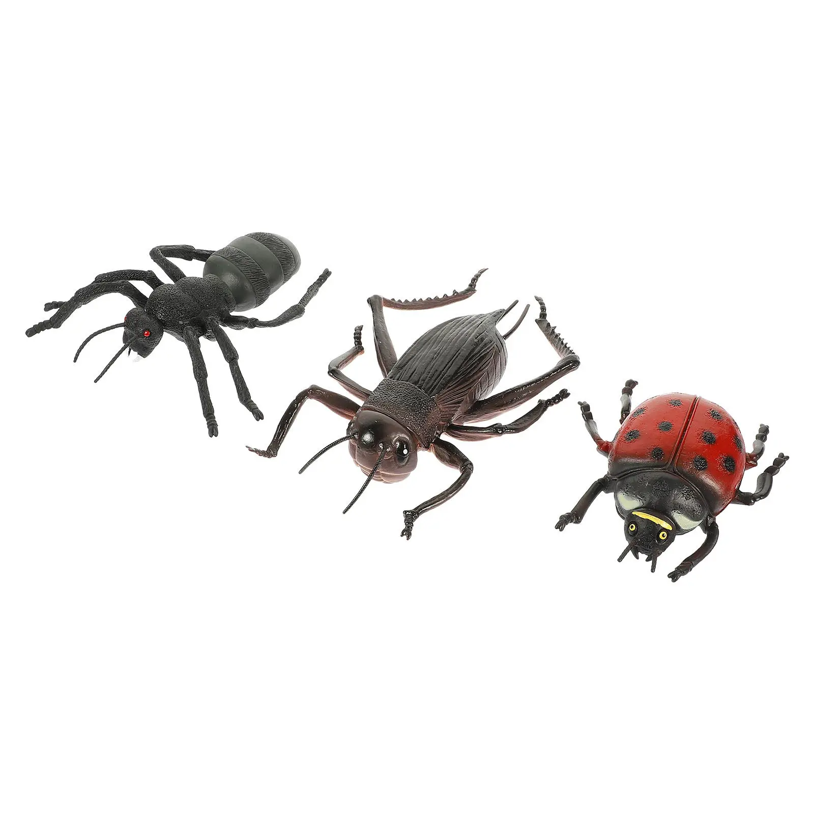 3Pcs Simulation Animal Ornament Creative Ladybird Ant Roach Shape Educational Cognitive Plaything Lifelike Decorative Desktop