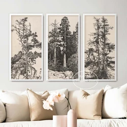 Vintage Tree Sketch Gallery Wall Set of 3 Prints Canvas Painting Art Picture for Nordic Living Room Nature-Inspired Home Decor