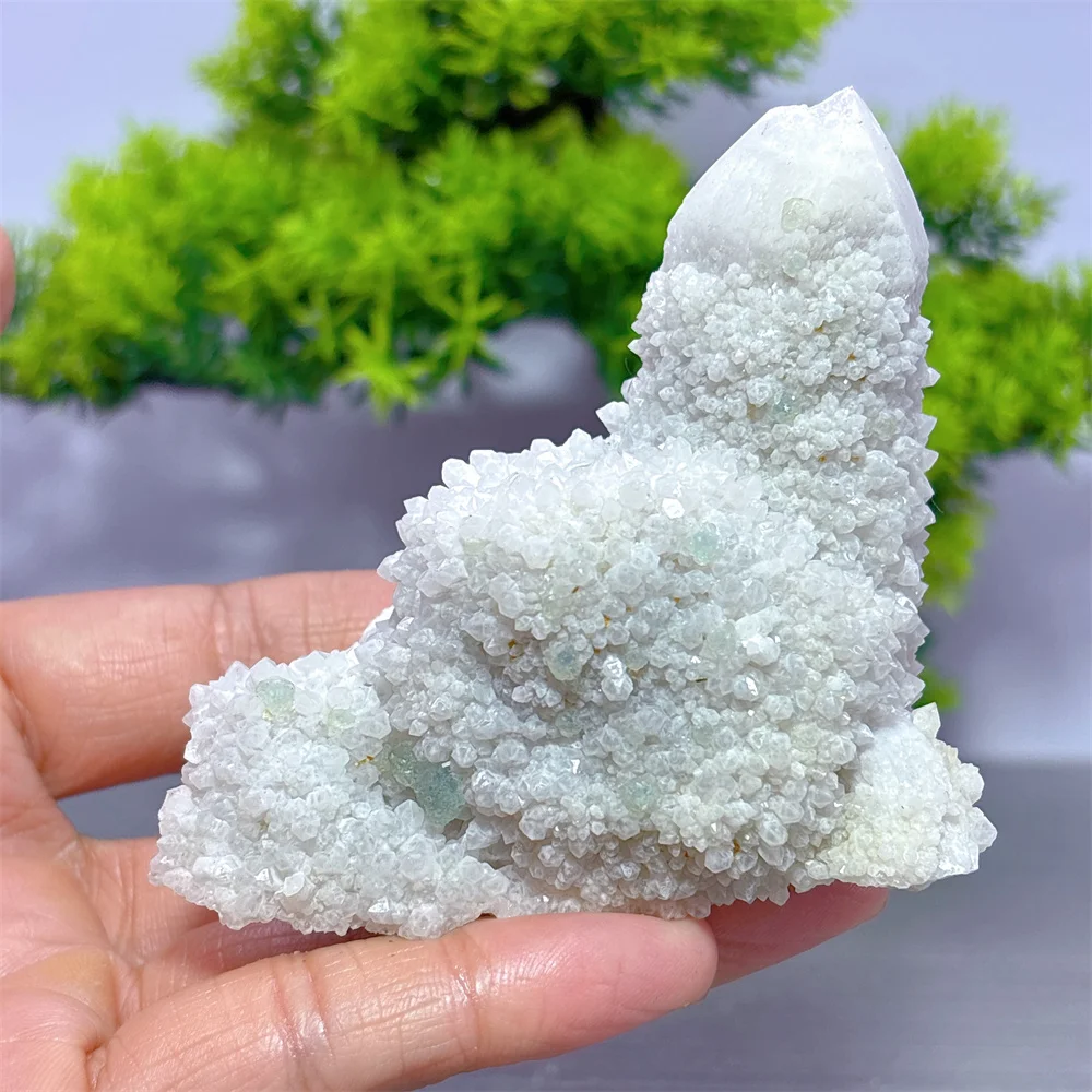 Mongolia Candle With Fluorite Specimen Natural Crystal Home Garden Decoration Room decor Luck Quartz Stone Healing Energy Love