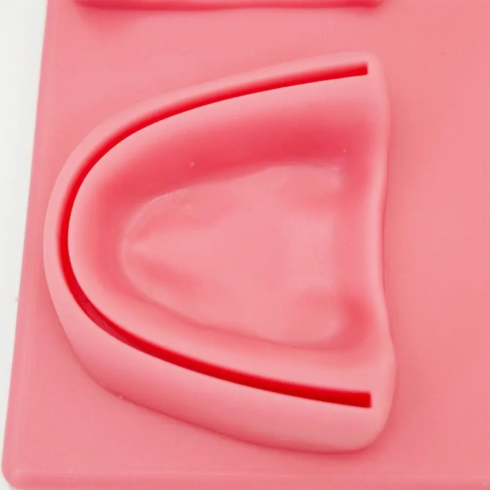 

Silicone Dental Oral/Gum Suture Model Suturing Practice Simulation Dental Teaching Model Soft 4 Wound Types Oral Skin Suture Pad
