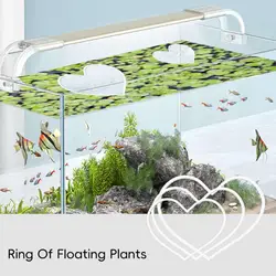 Visvoederringen Drijvend, Hartvorm Drijvend Plant Hek, Aquarium Duckweed Protecto, Aquarium Feeder Ring Betta Accessoires