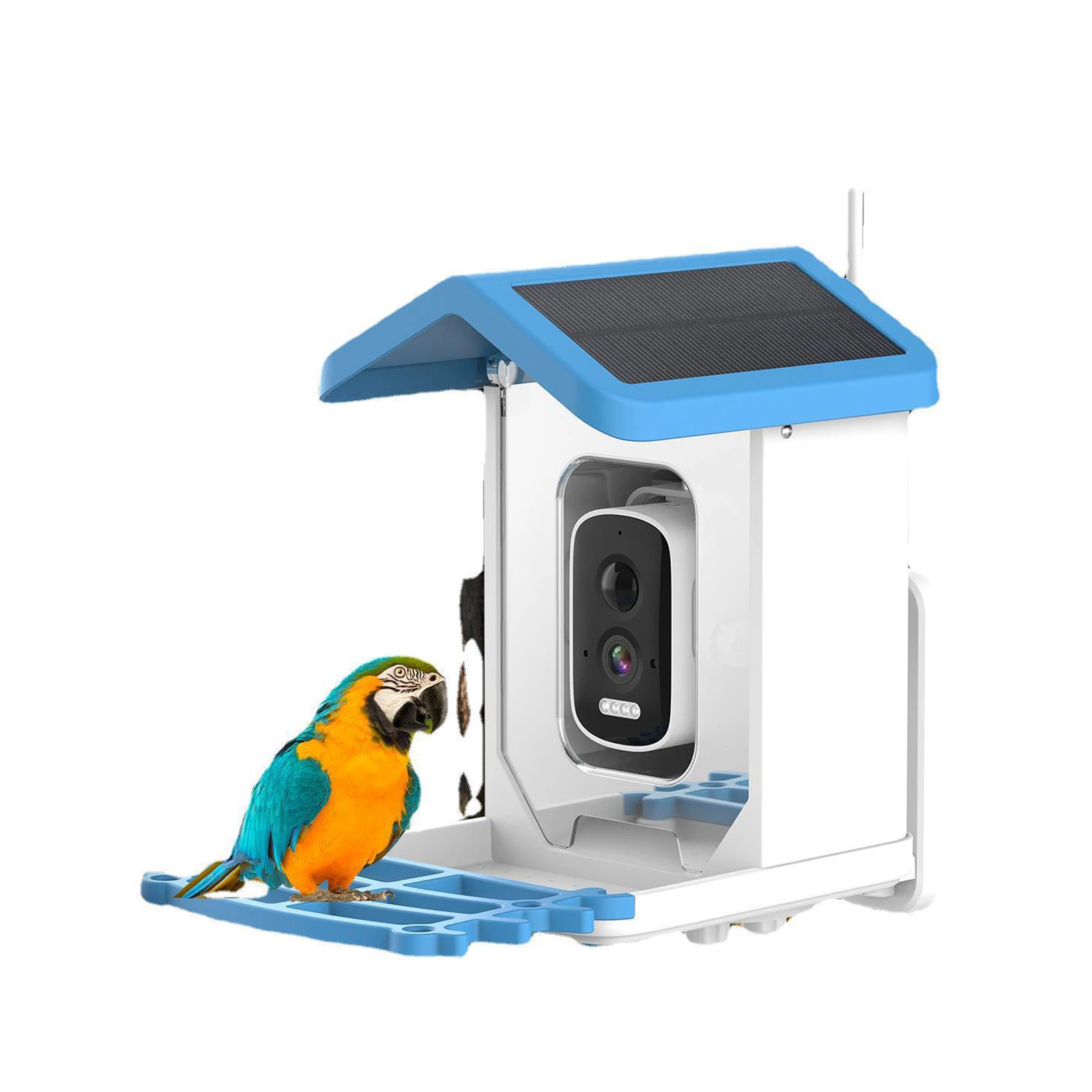 Solar Powered Smart Bird Feeder Camera with 5MP WiFi PTZ AI