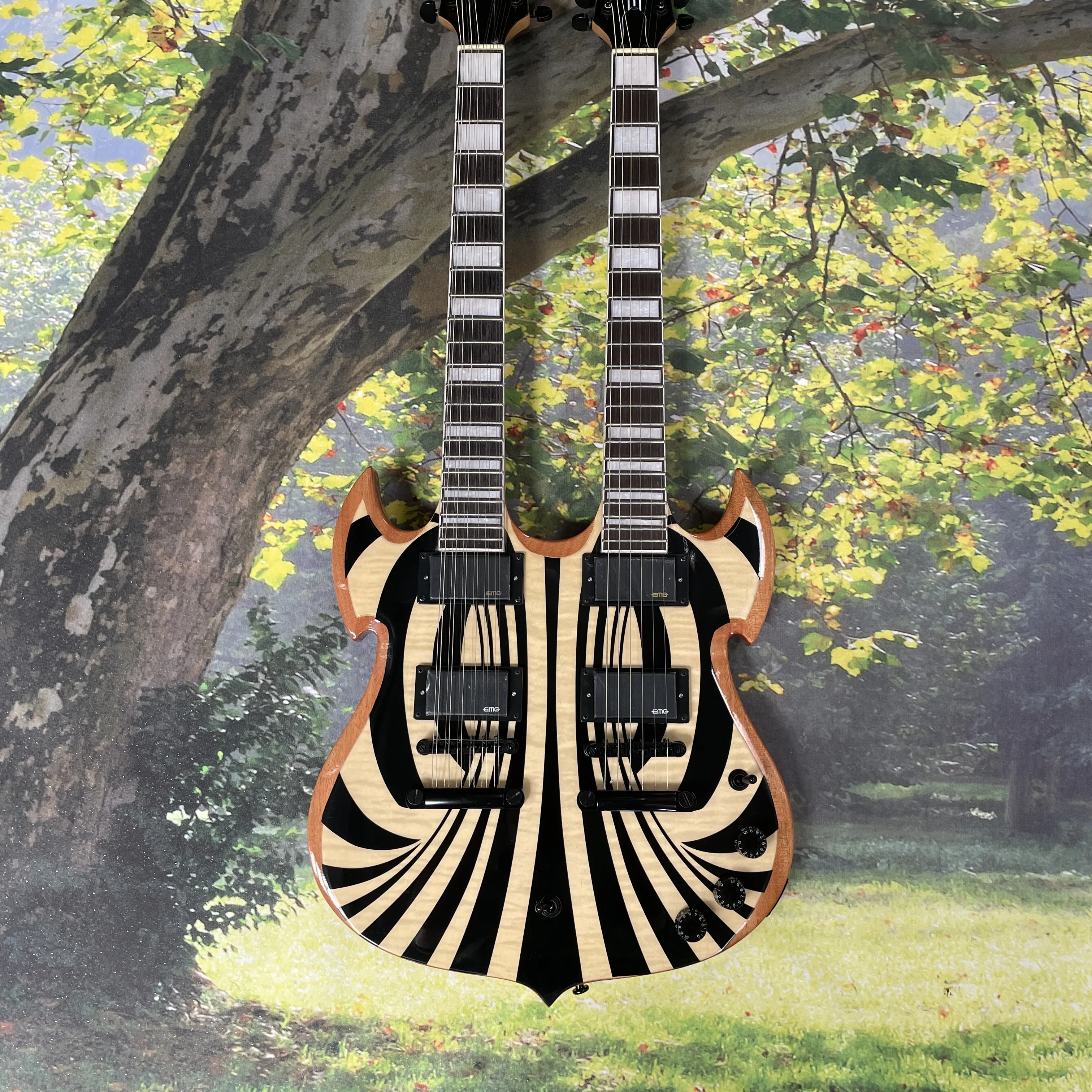 

Двуглавая электрогитара, 12 + 6 струн, черная фурнитура, гитара