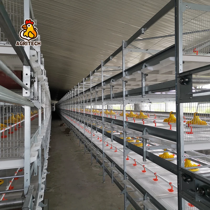 Jaula para aves de corral de granja de pollos asado utilizada para levantar pollitos y aves a la venta