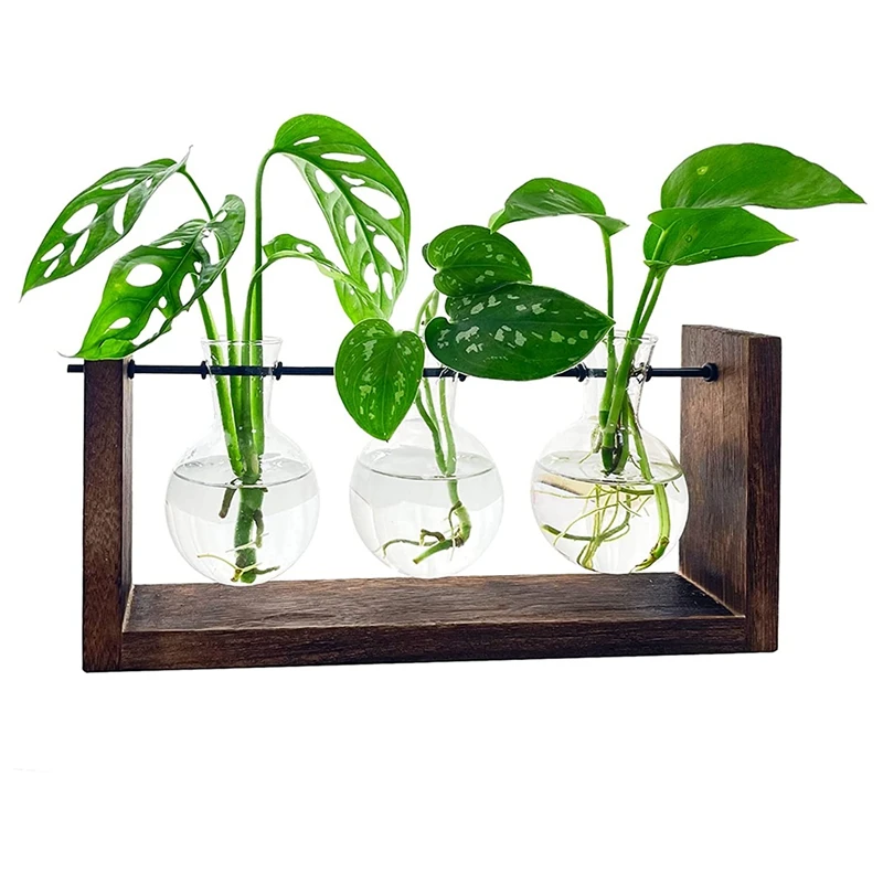 

Plant Terrarium, Tabletop Propagation Station For Hydroponic Plants With Wooden Stand For Gifts Home Decoration