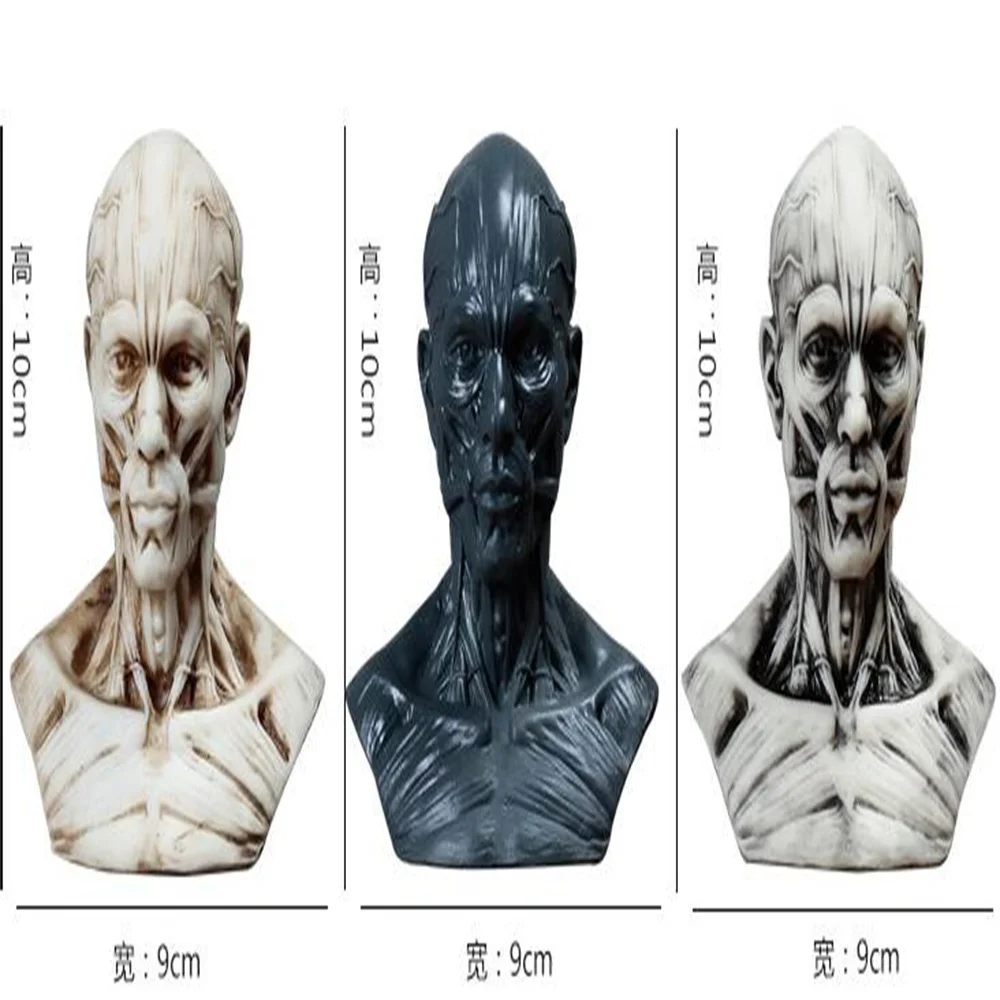 10cm Human Muscle Head Mannequin Carving, Still Life Drawing, Reference Skull Model, Artistic Bust, Landscaping M01009